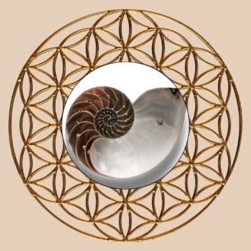 Jean Adrienne Arınma Sistemi Uygulayıcılık Eğitimi (JAAS)